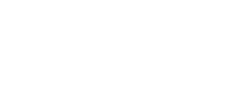 USDV Technology